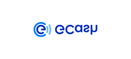 E-wallet 1